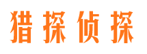 兴城市调查公司